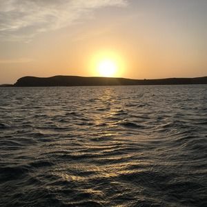 Meet your Posher, George